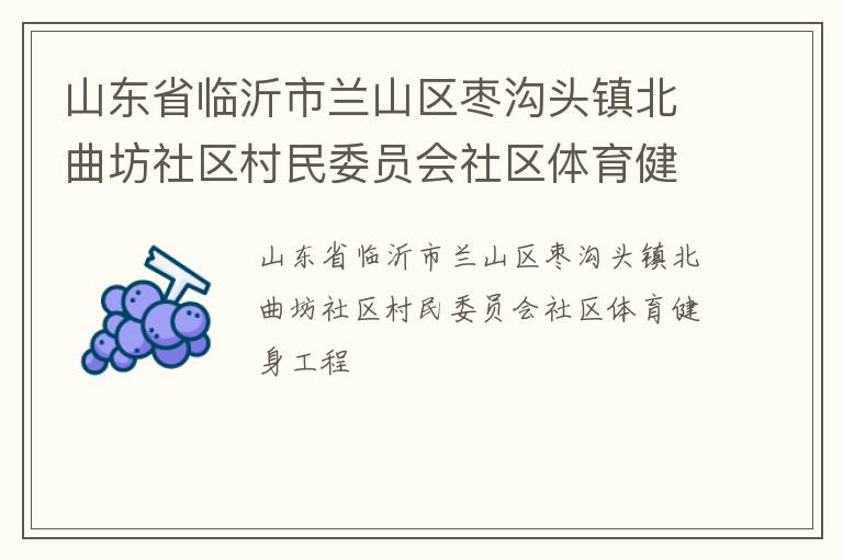 山东省临沂市兰山区枣沟头镇北曲坊社区村民委员会社区体育健身工程