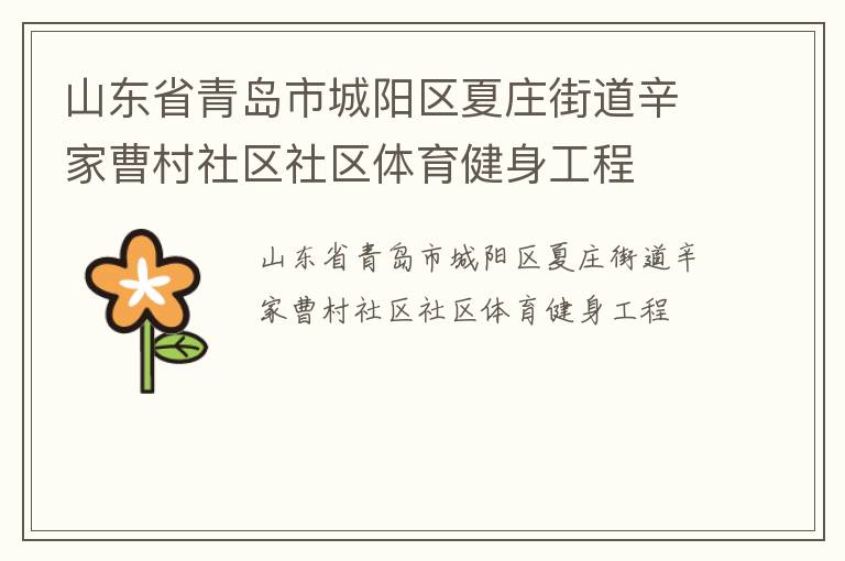 山东省青岛市城阳区夏庄街道辛家曹村社区社区体育健身工程