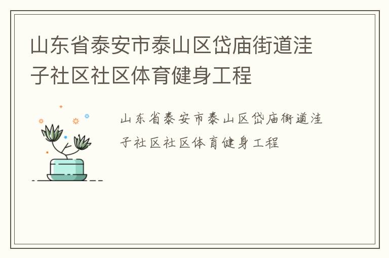 山东省泰安市泰山区岱庙街道洼子社区社区体育健身工程