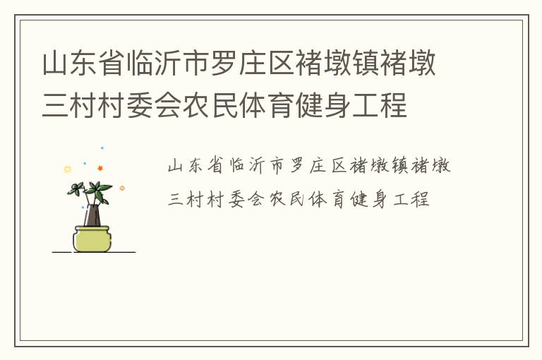 山东省临沂市罗庄区褚墩镇褚墩三村村委会农民体育健身工程