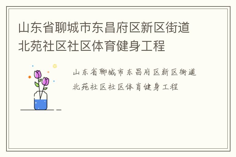 山东省聊城市东昌府区新区街道北苑社区社区体育健身工程
