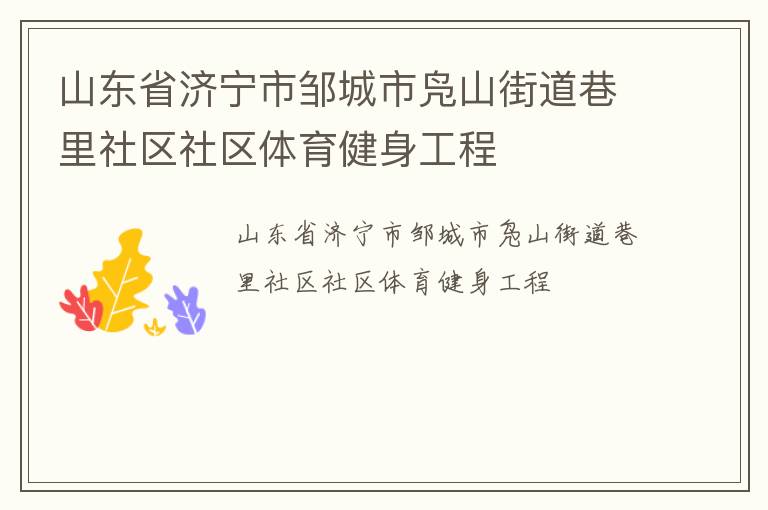 山东省济宁市邹城市凫山街道巷里社区社区体育健身工程