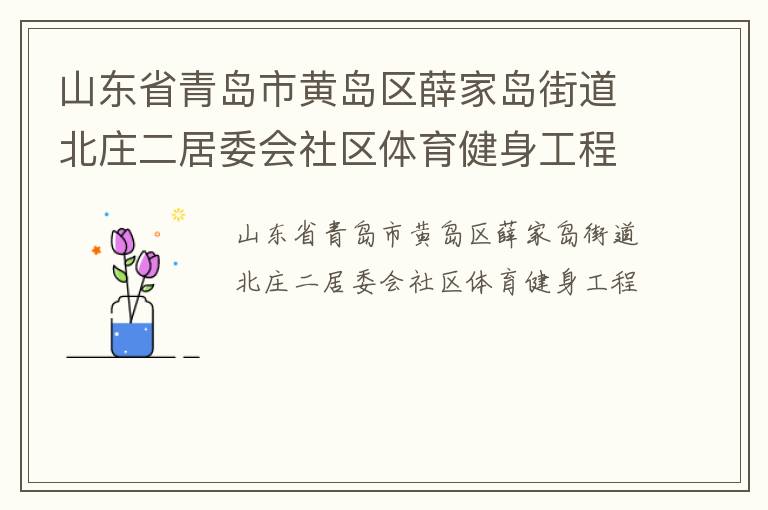 山东省青岛市黄岛区薛家岛街道北庄二居委会社区体育健身工程