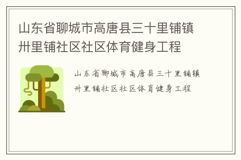 山东省聊城市高唐县三十里铺镇卅里铺社区社区体育健身工程