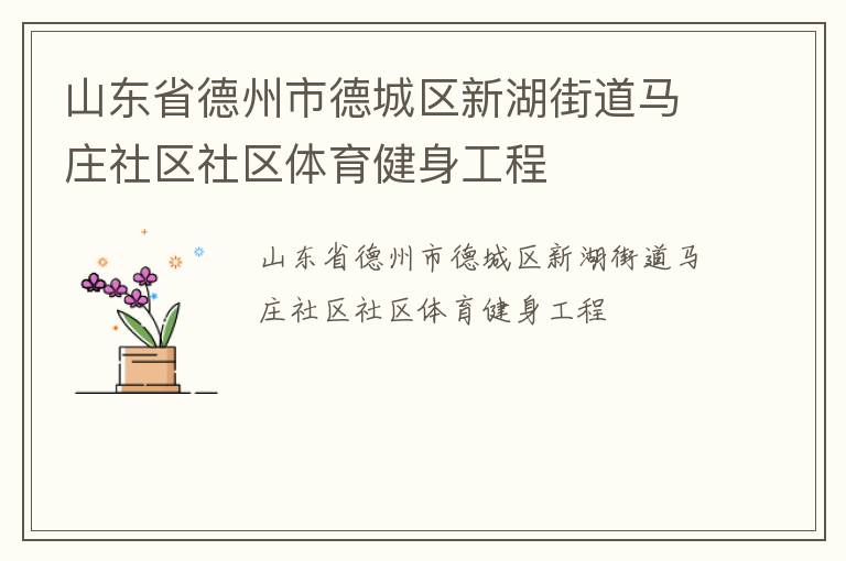 山东省德州市德城区新湖街道马庄社区社区体育健身工程