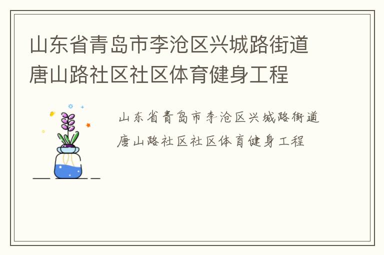 山东省青岛市李沧区兴城路街道唐山路社区社区体育健身工程