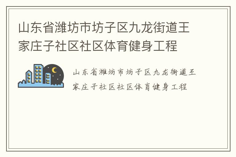 山东省潍坊市坊子区九龙街道王家庄子社区社区体育健身工程