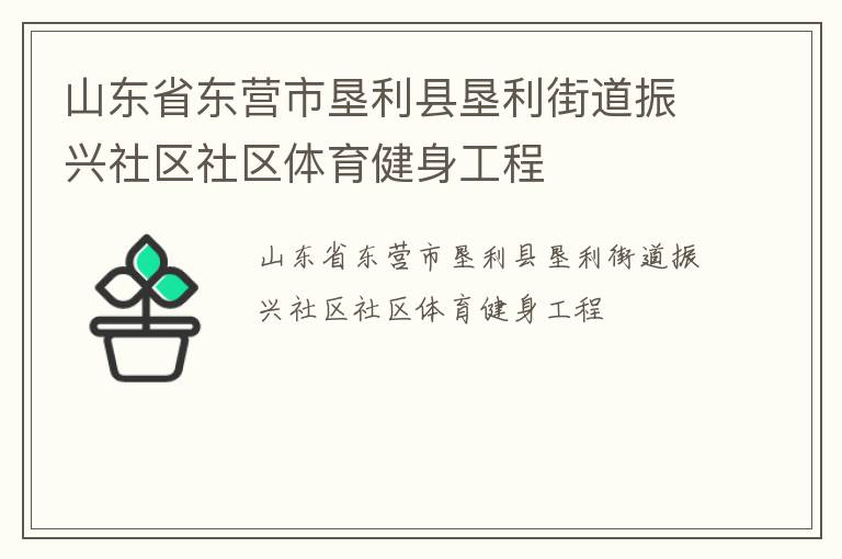 山东省东营市垦利县垦利街道振兴社区社区体育健身工程
