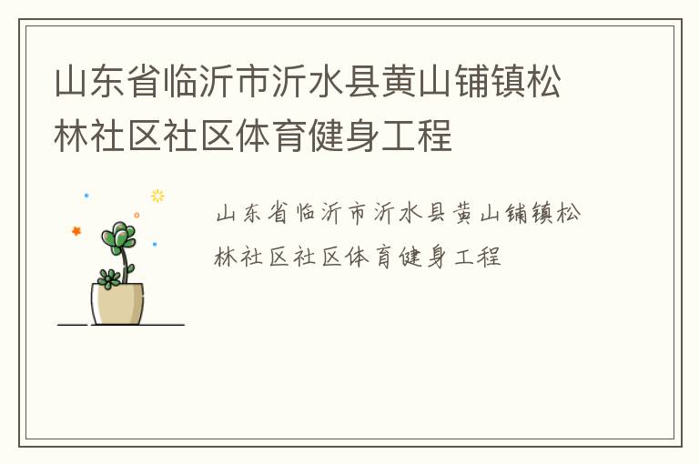 山东省临沂市沂水县黄山铺镇松林社区社区体育健身工程