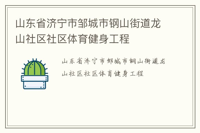 山东省济宁市邹城市钢山街道龙山社区社区体育健身工程