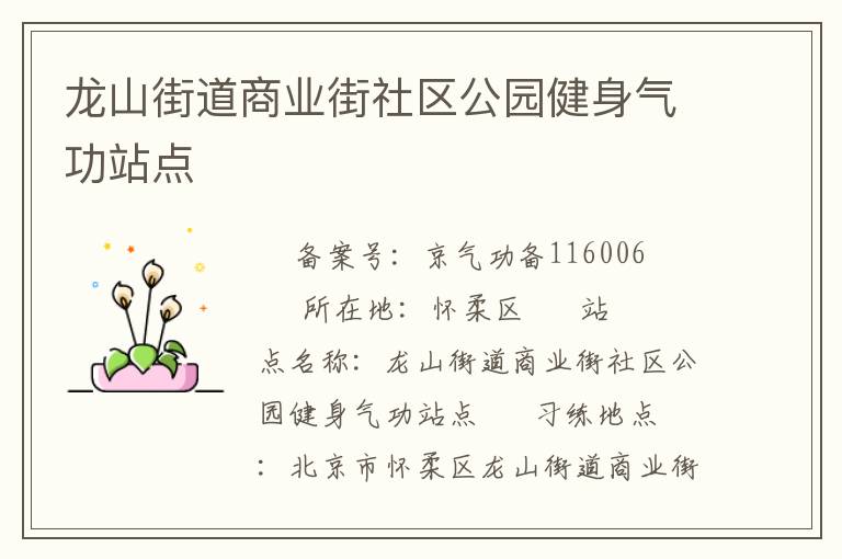 龙山街道商业街社区公园健身气功站点