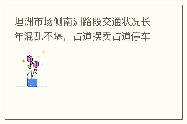坦洲市场侧南洲路段交通状况长年混乱不堪，占道摆卖占道停车严重，时有机动车逆行，非机动车更是随意逆行，顺行机动车与非机动车混行缓慢，没各行其道。南洲路与大兴路平交路口没有规划好，交通拥堵是常态，即时有交