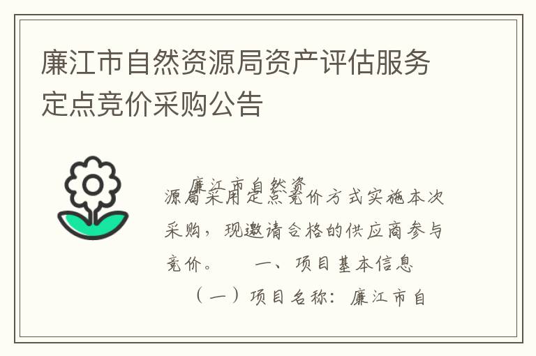 廉江市自然资源局资产评估服务定点竞价采购公告