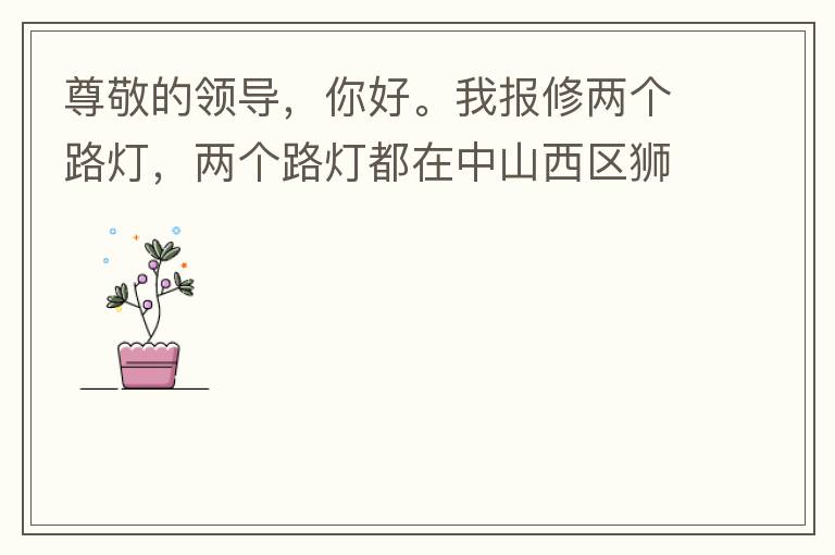 尊敬的领导，你好。我报修两个路灯，两个路灯都在中山西区狮滘口大桥。1.富华往滨江一号，下桥倒数第二支路灯已经损坏。 2.滨江一号往富华方向，下桥最后一支路灯已经损坏。麻烦及时修复，减少意外的发生。谢谢
