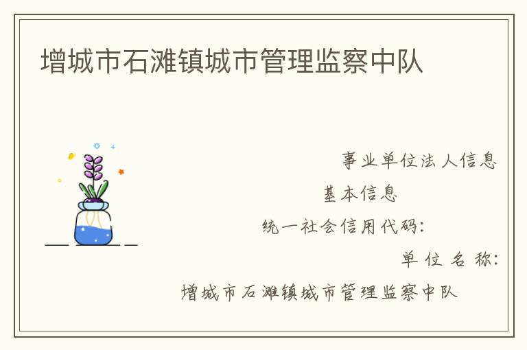 增城市石滩镇城市管理监察中队