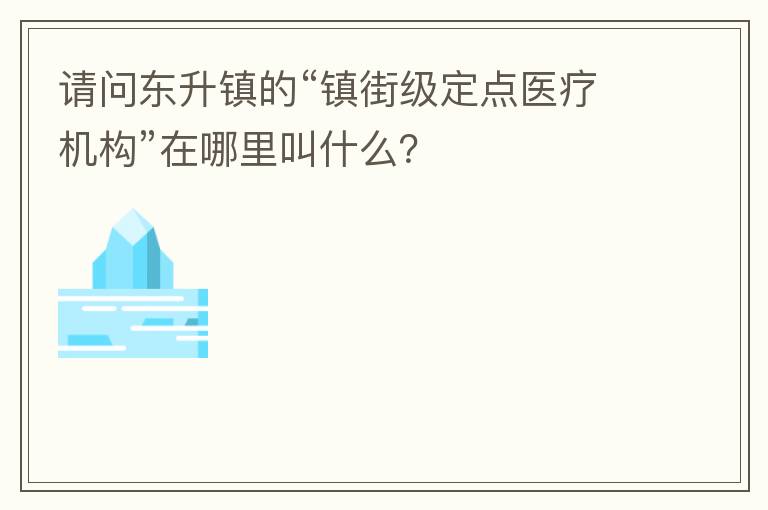 请问东升镇的“镇街级定点医疗机构”在哪里叫什么？