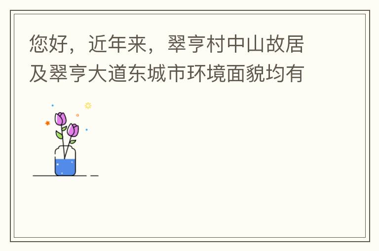 您好，近年来，翠亨村中山故居及翠亨大道东城市环境面貌均有所提升。但周边环境仍然不够理想，稍显脏乱差，与5A风景区的定位不相协调，望继续尽快改善为宜。多谢