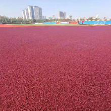 混合型塑胶跑道 环保塑胶跑道 操场塑胶跑道 塑胶跑道建设 塑胶跑道价格