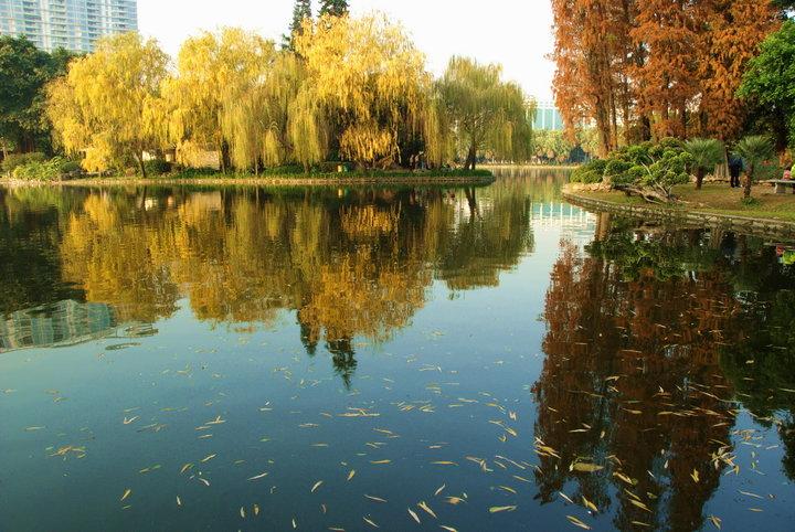 流花湖公园东北门（临近陆军总医院、东方宾馆）