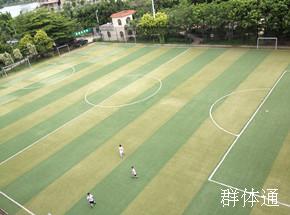 夏园足球场