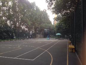 橡树园益体篮球场
