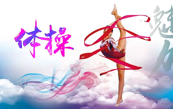 北京市第十五届运动会体操比赛