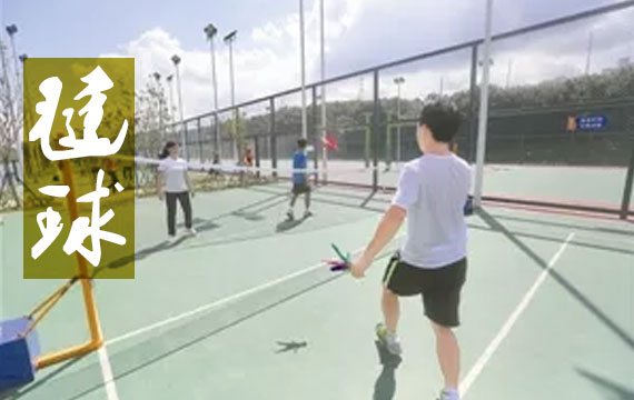 2019年北京市中小学生毽球比赛