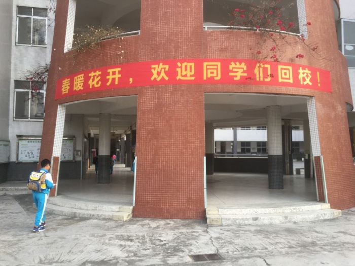 阳光雍小：红领巾心向党 向阳向上生长