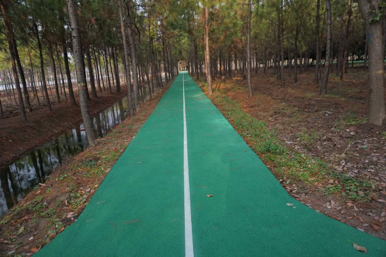 联益村健身步道