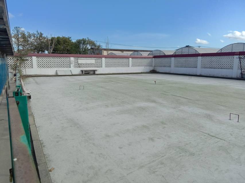 森林村森塘路21号门球场
