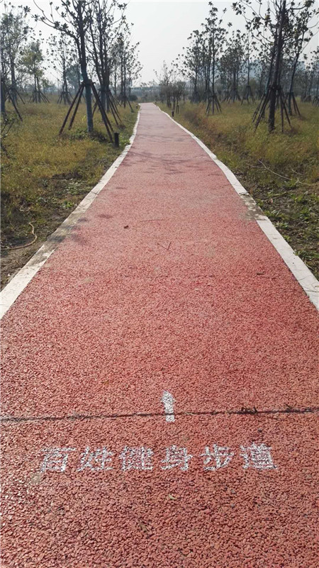 长兴生态廊道G40大转盘健身步道