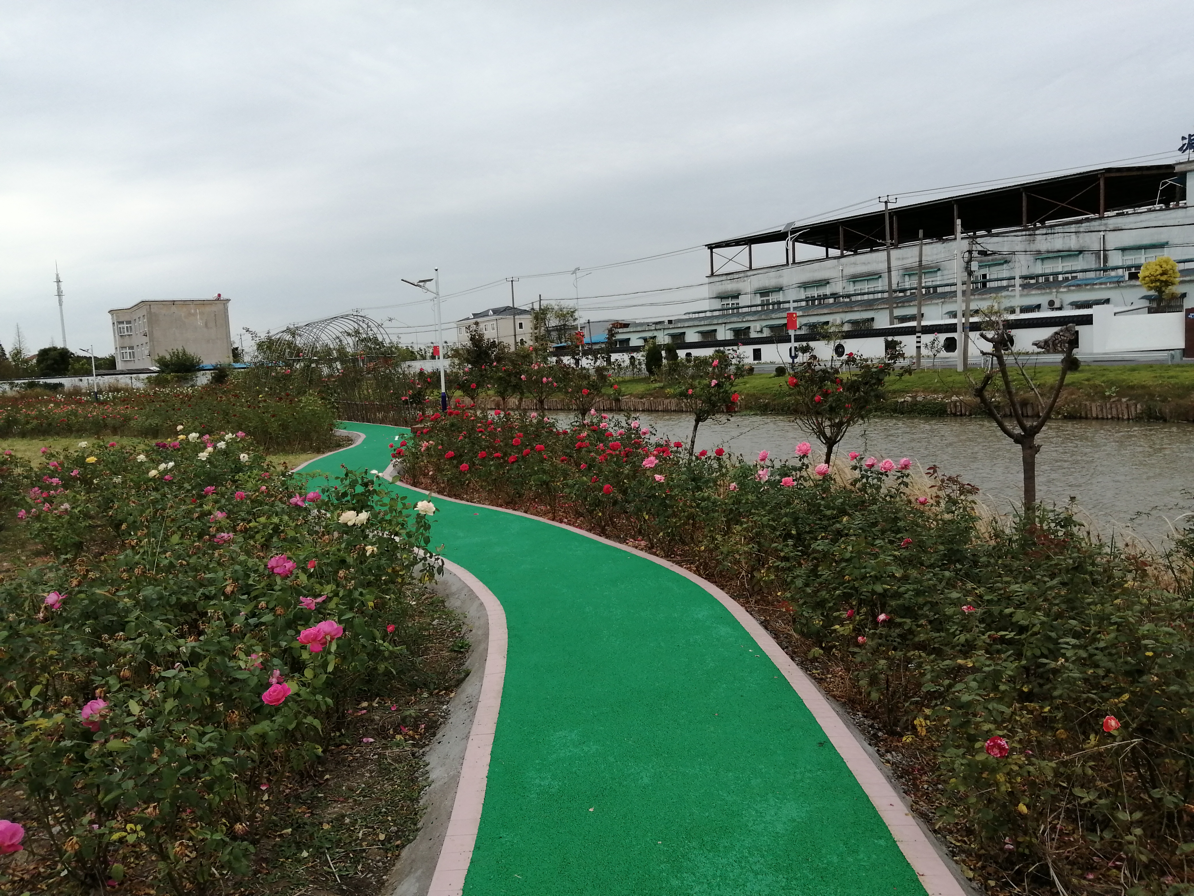 塔桥月季文化园市民健身步道
