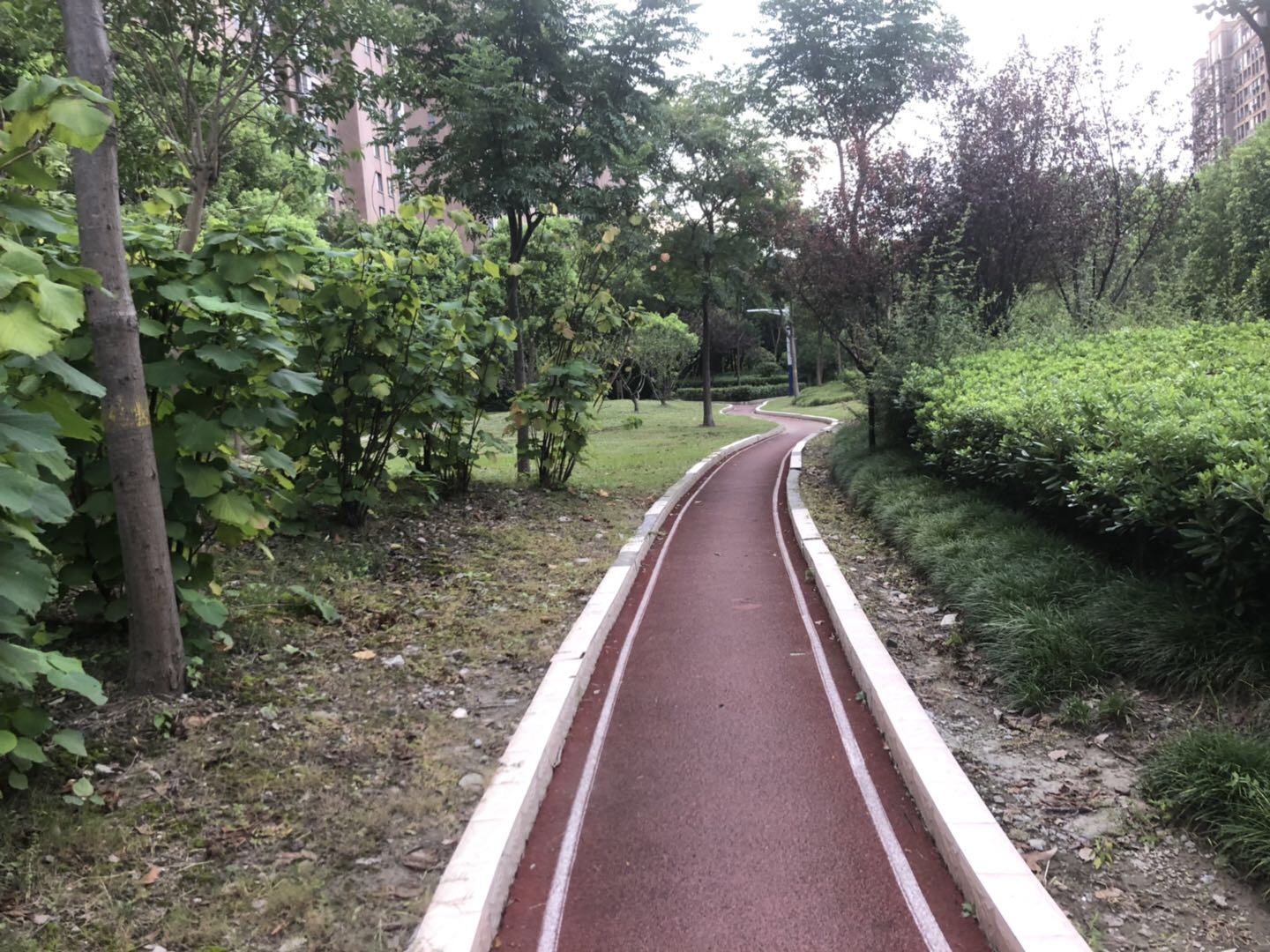 美岸栖庭百姓健身步道