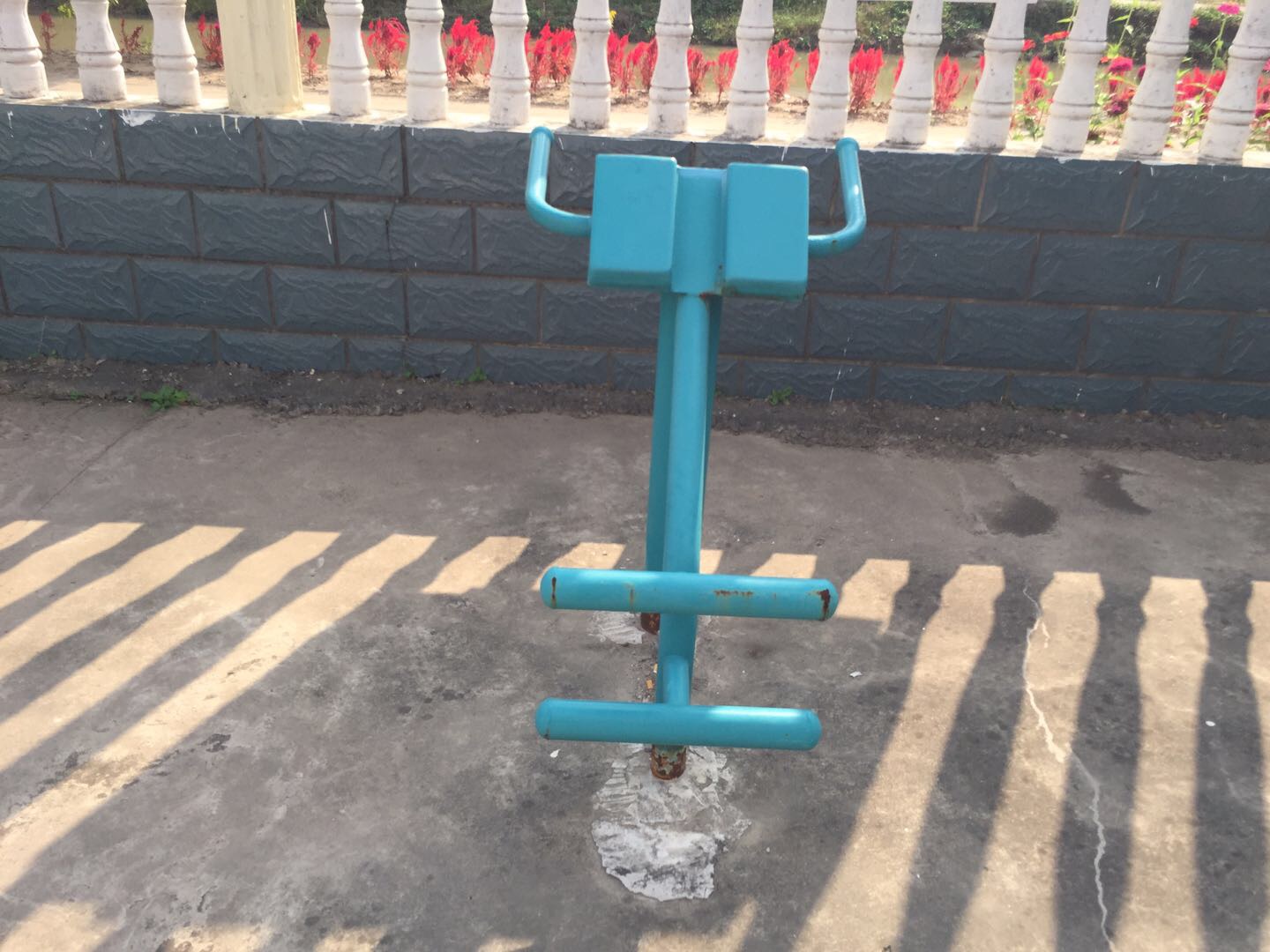 背肌训练器