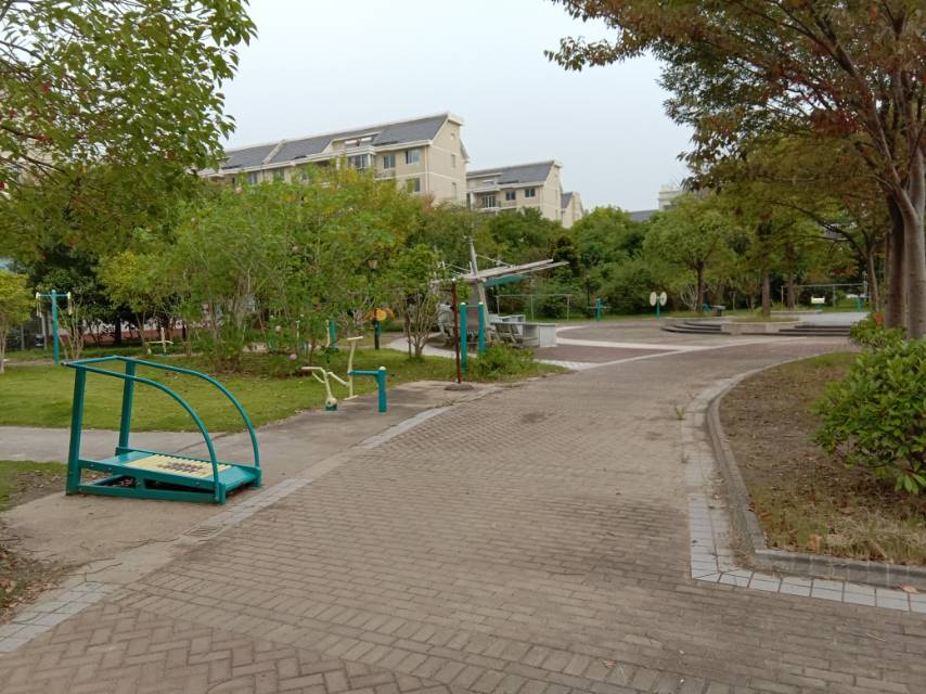 陈家镇安振路88弄健身路径
