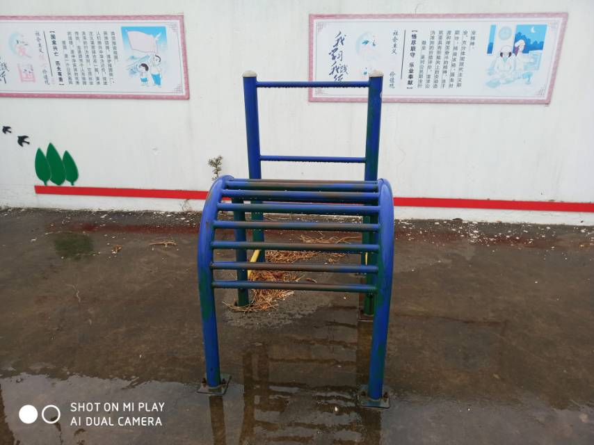 伸背器