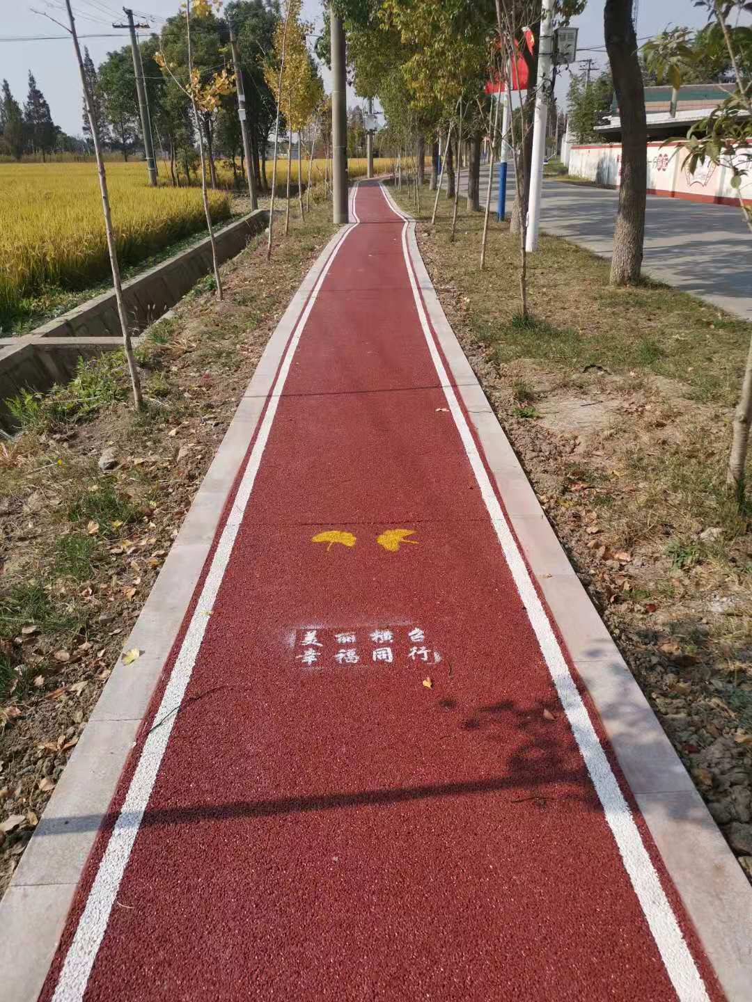 金山卫镇横召村横召路市民健身步道
