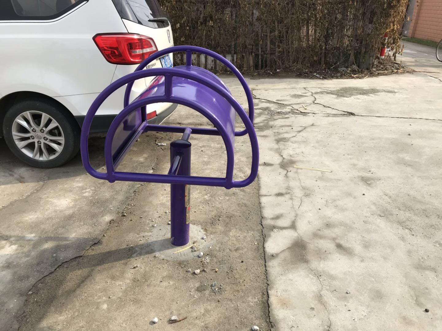 伸背器