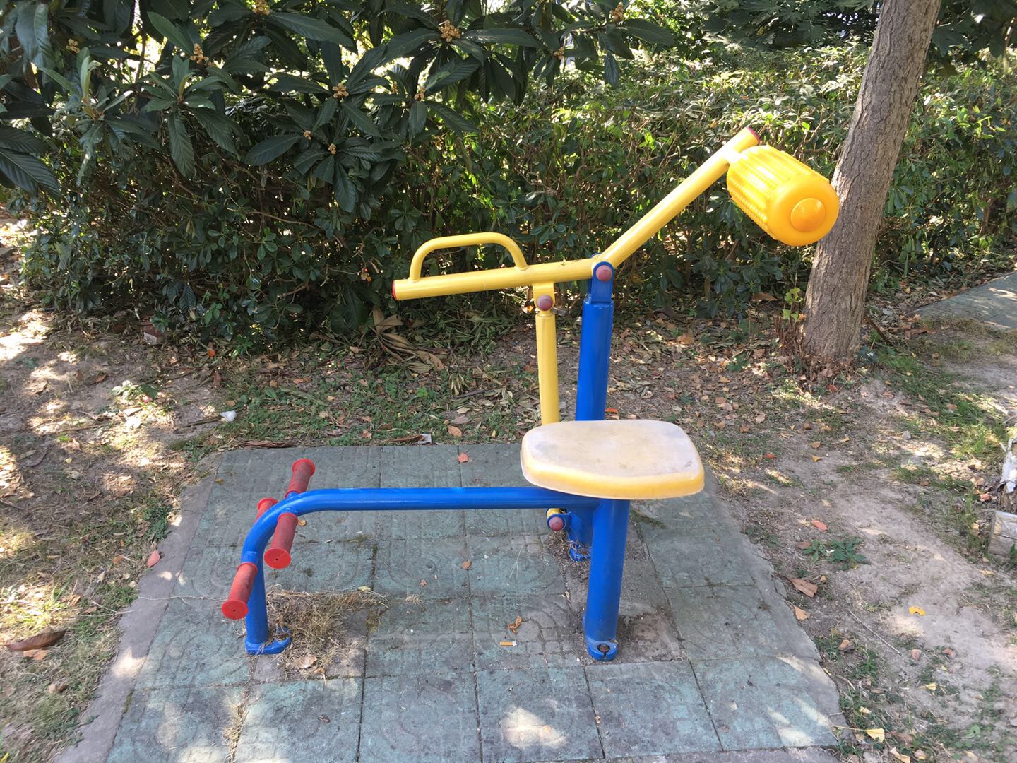 腹背锻炼器