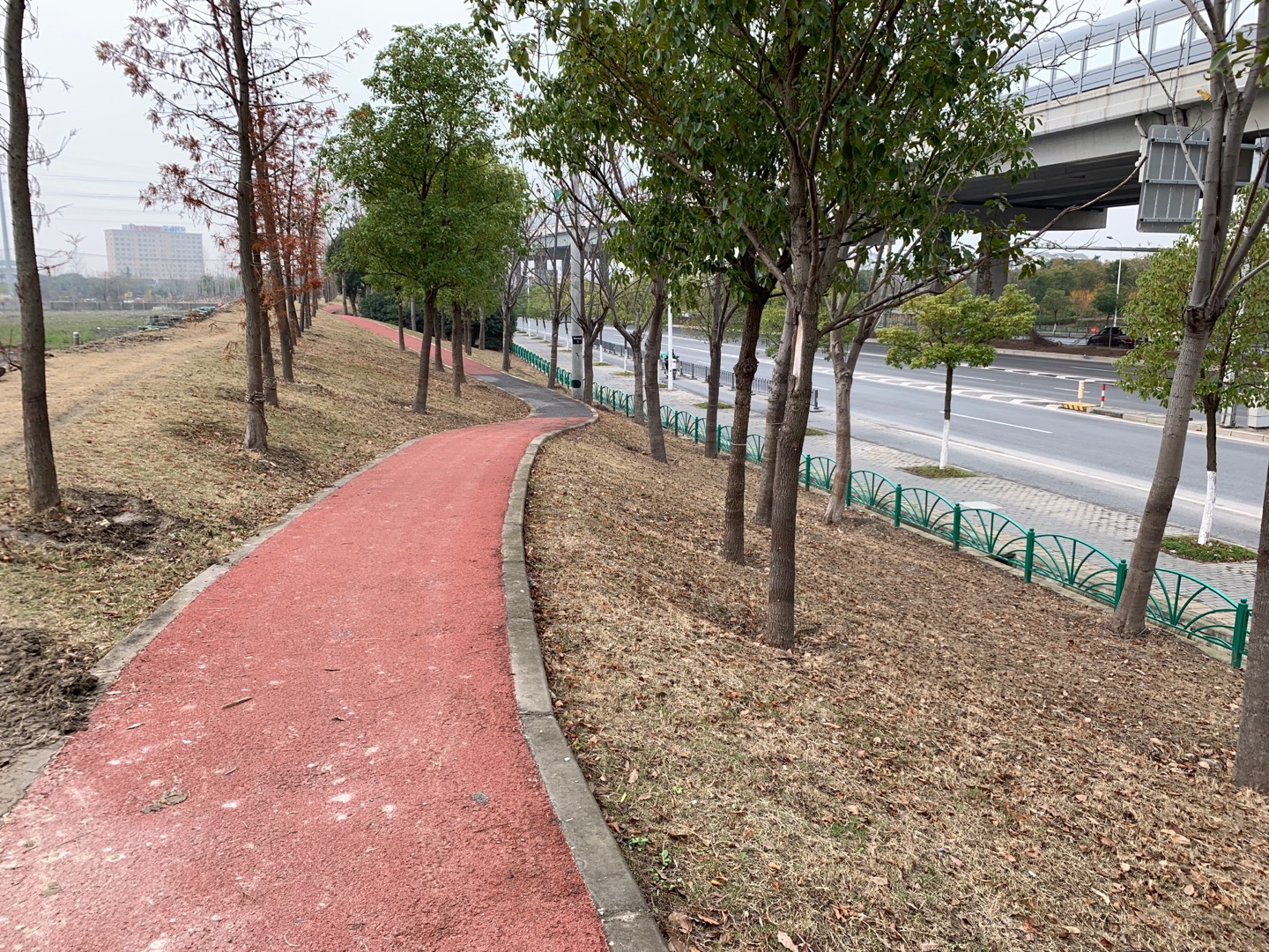 嘉闵高架绿化带东侧健身步道