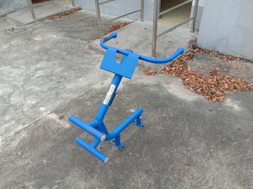 背肌训练器
