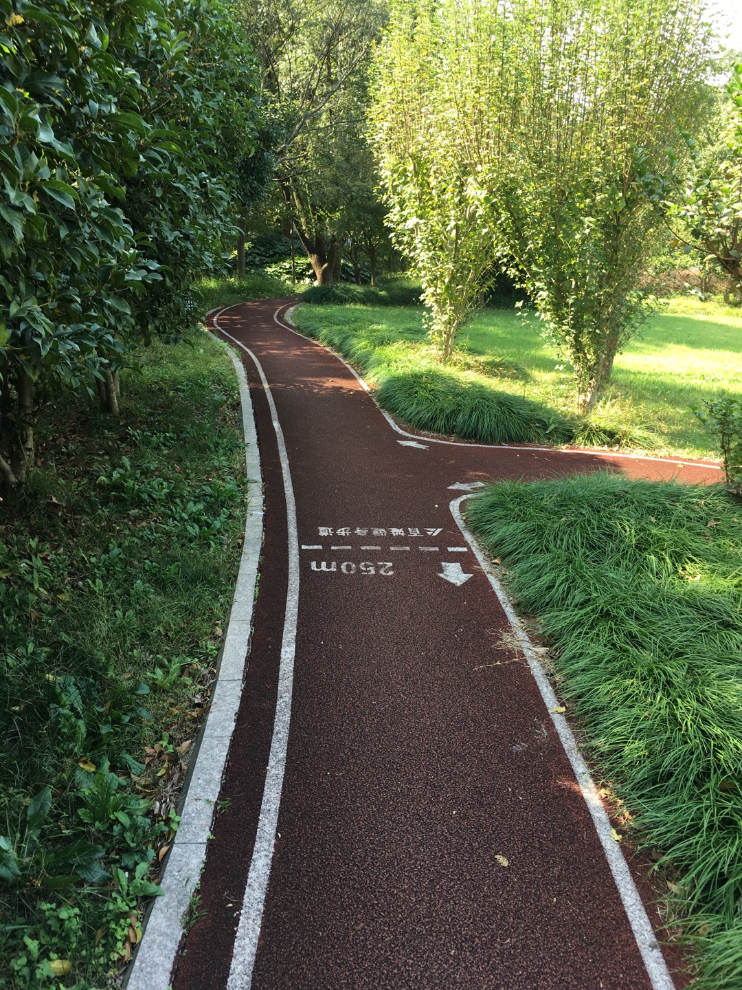 红鹰小区百姓健身步道