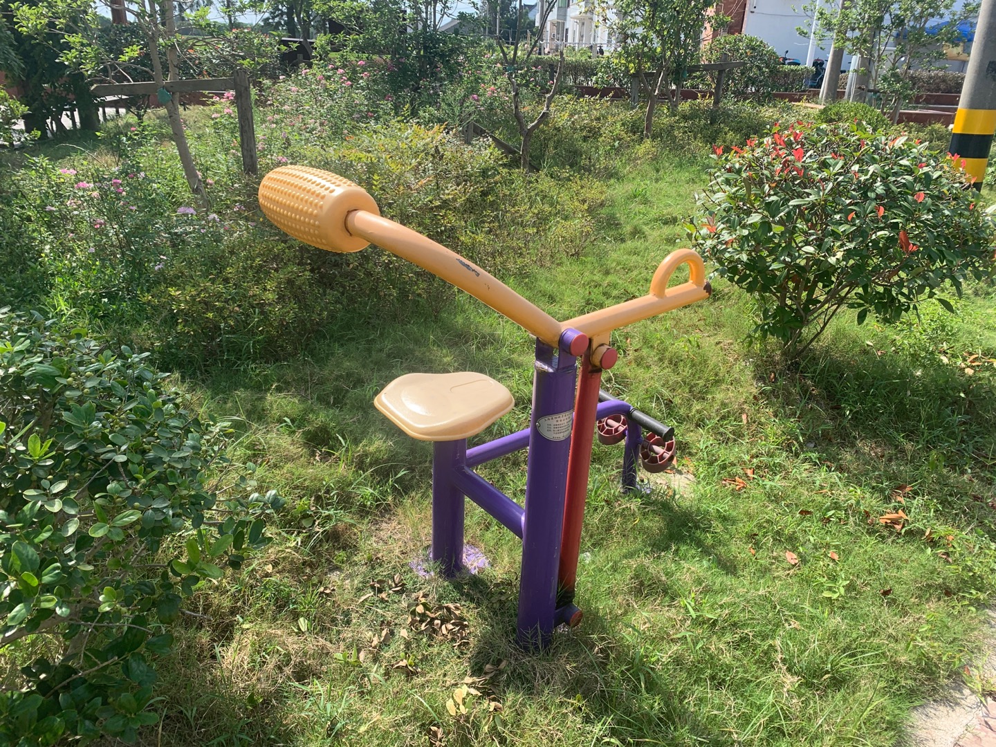 腹背训练器