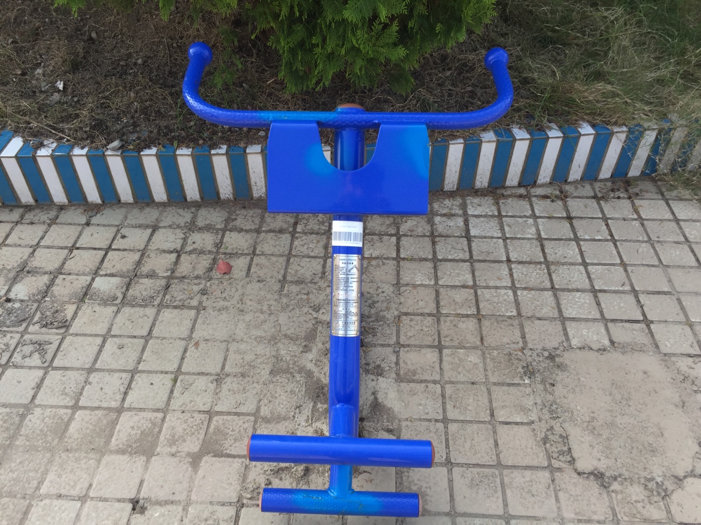 背肌训练器