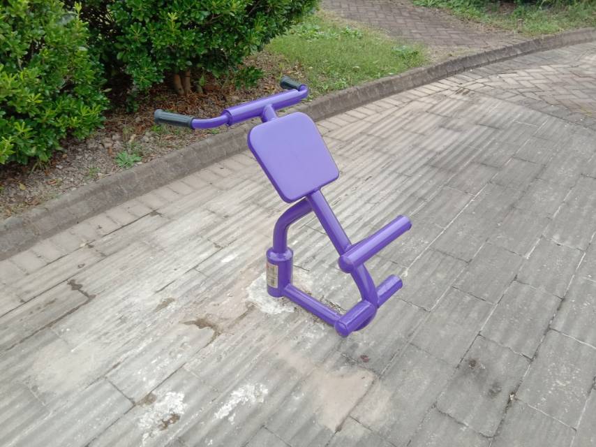 背肌训练器