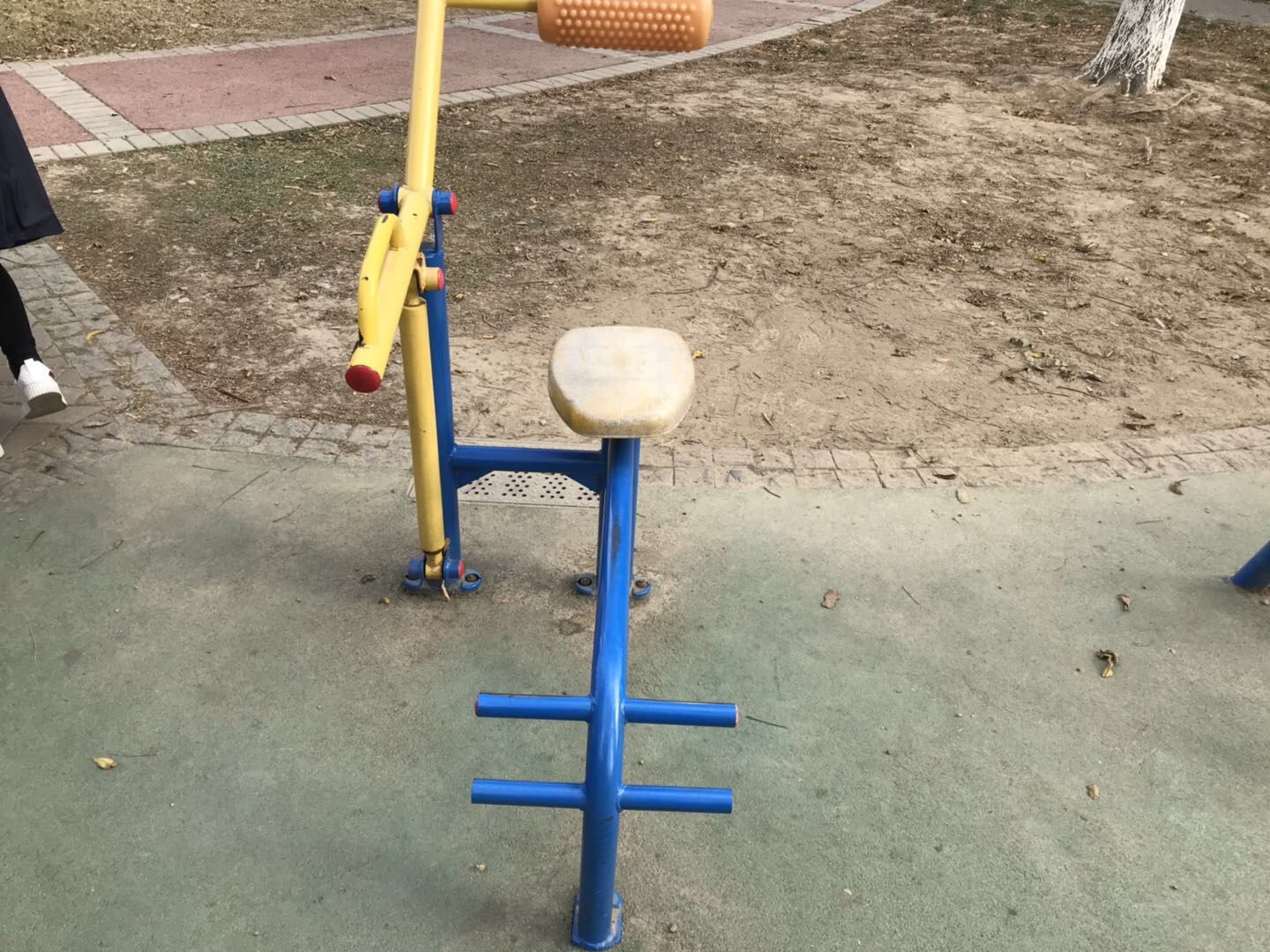 腹背锻炼器