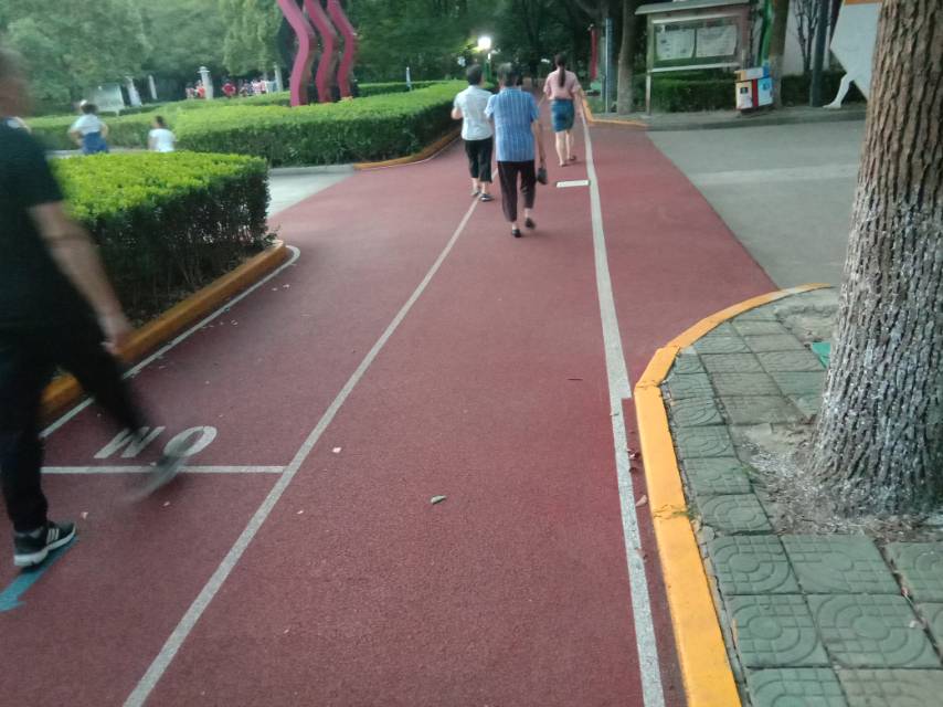 马陆公园健身步道