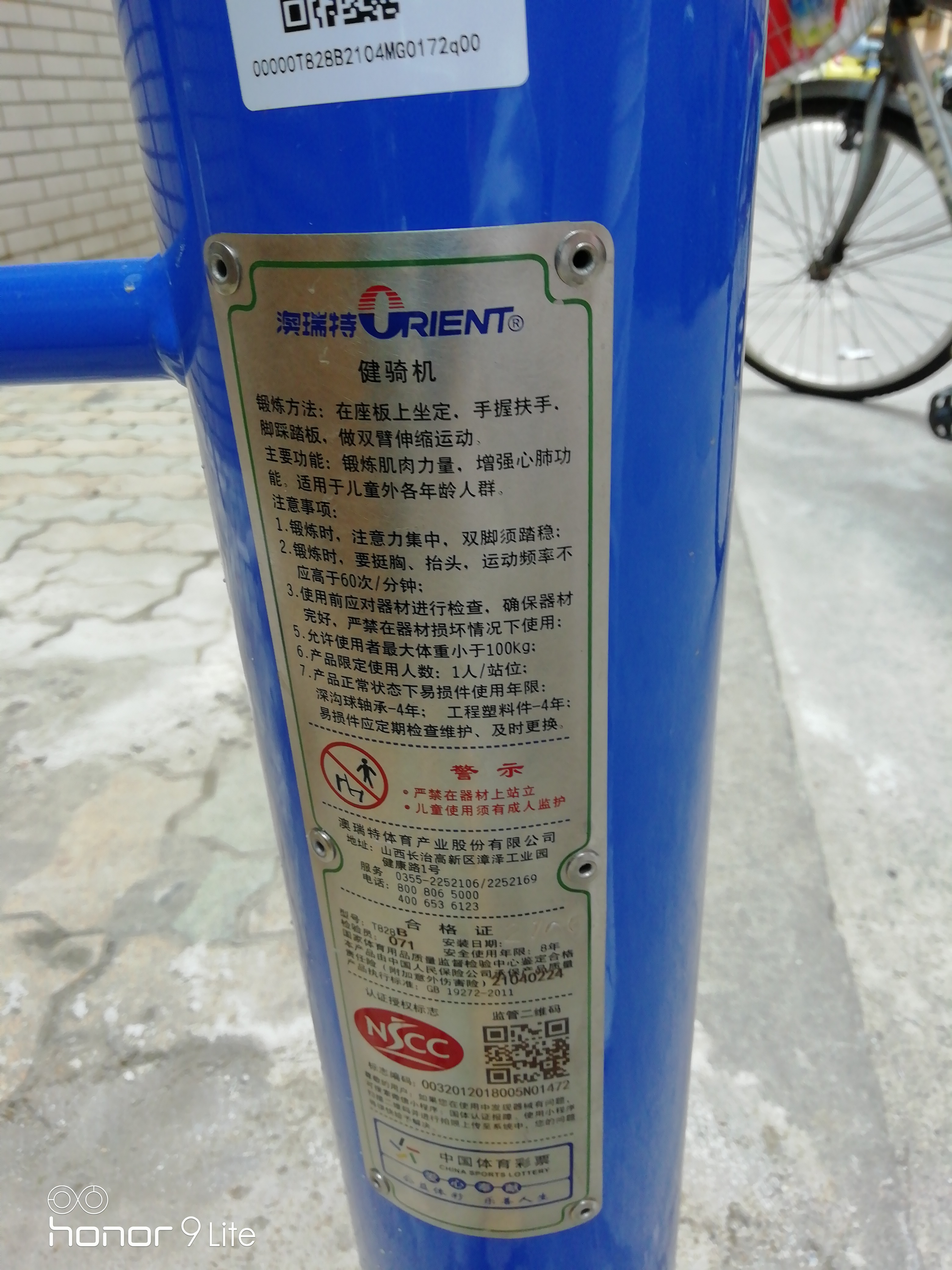 腰力训练器