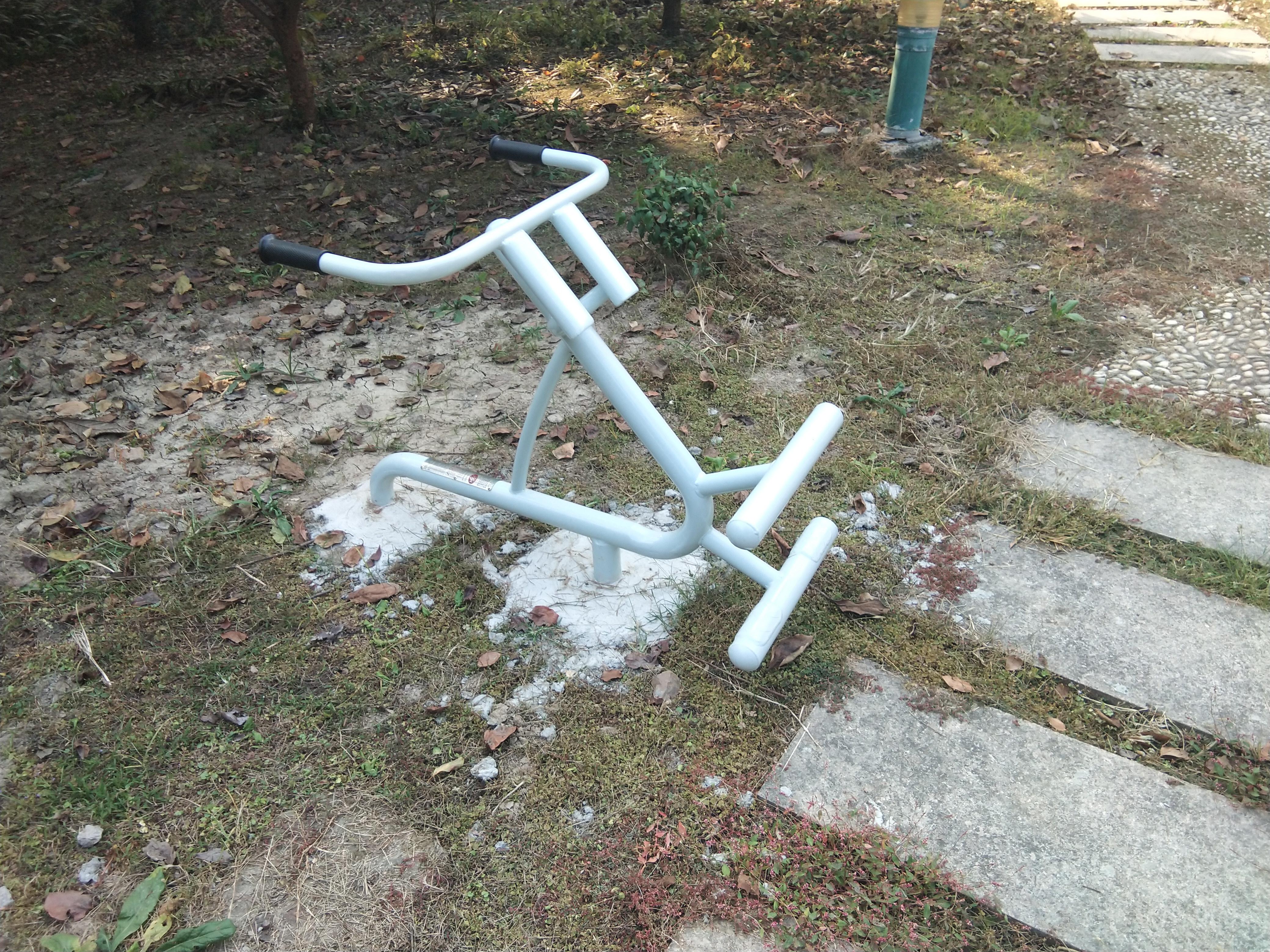 背肌训练器