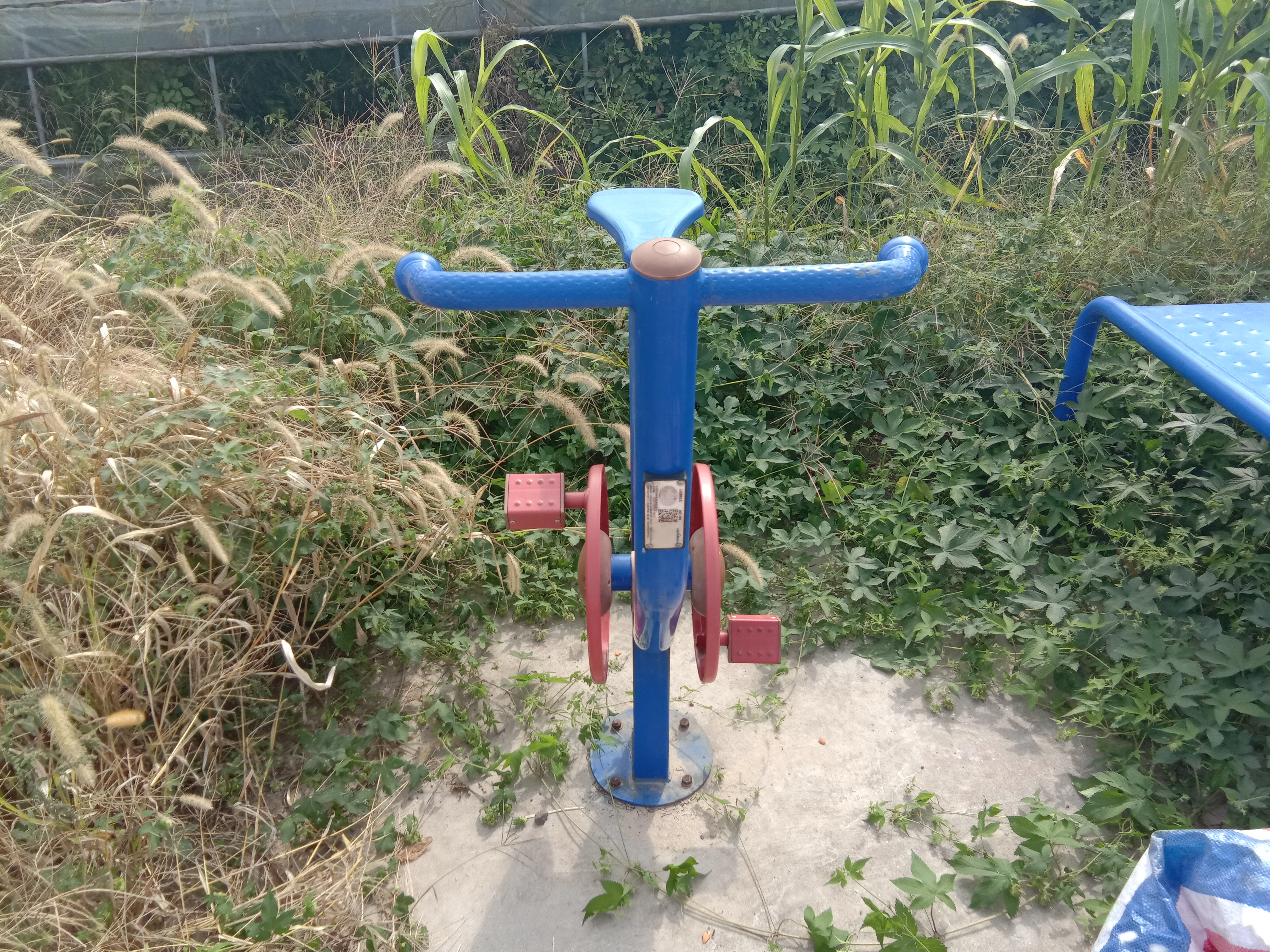直立健身车